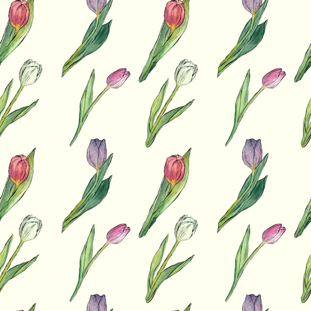 Motivo primaverile di fiori di tulipano Illustrazione ad acquerello