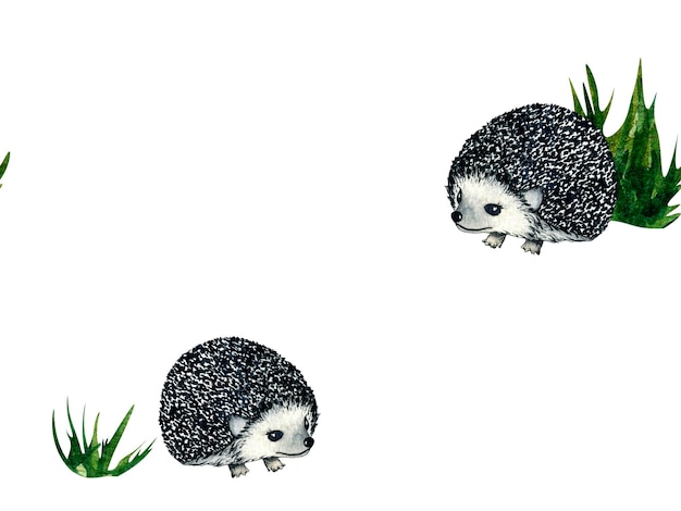 Motivo senza cuciture Acquerello animali della foresta selvaggia hedgehog Illustrazione della natura per il design dei bambini