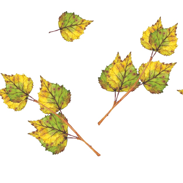 Motivo senza giunture Ramo con foglie autunnali gialle Illustrazione ad acquerello Clip art botanica fogliame