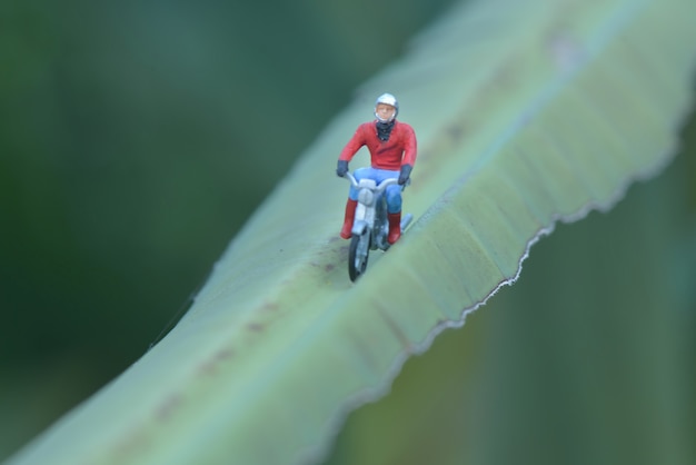 motociclista in miniatura su foglia