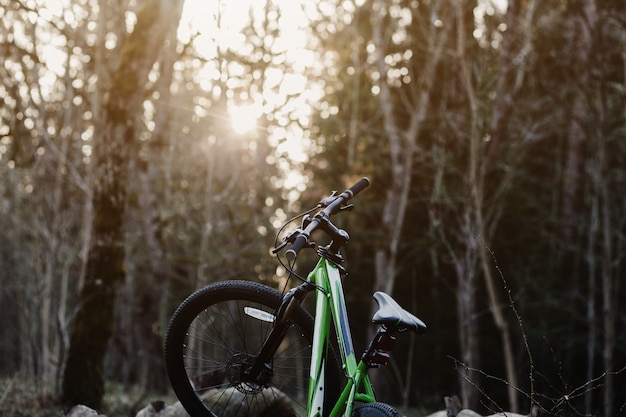 Mountain bike nella foresta al tramonto. sport e concetto di viaggio