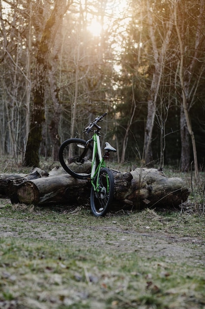 Mountain bike nella foresta di primavera