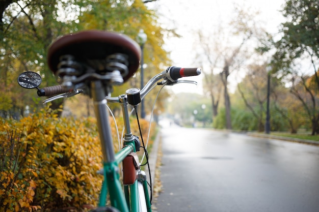 Mountain bike. Tempo libero attivo sulla natura