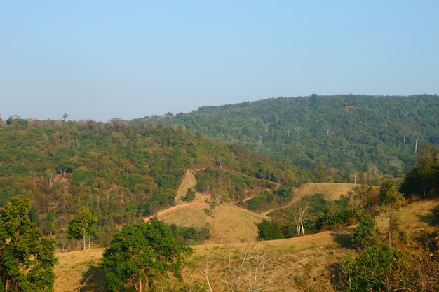 Mountain View di KHAO PHAENGMA ZONA DI NON CACCIA TAILANDIA