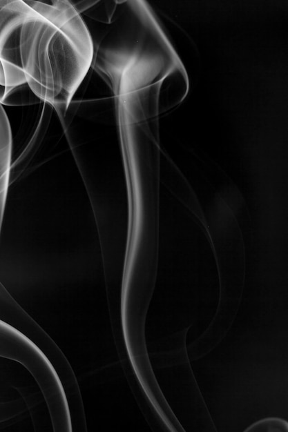 Movimento di fumo bianco su sfondo nero.