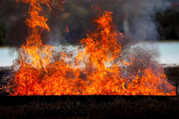 Movimento di fuoco di fiamma