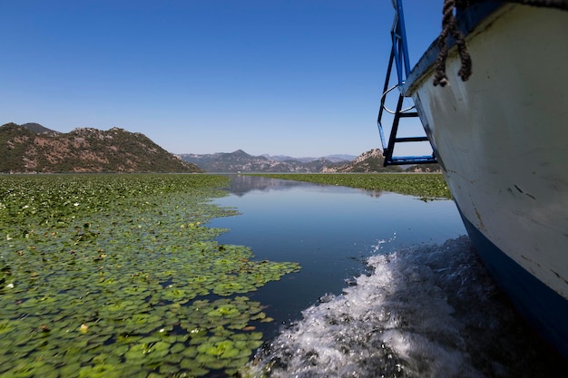 Movimento su una barca sul Lago di Scutari in Montenegro