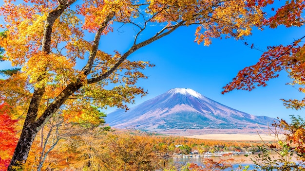 Mt Fuji Giappone con fogliame autunnale