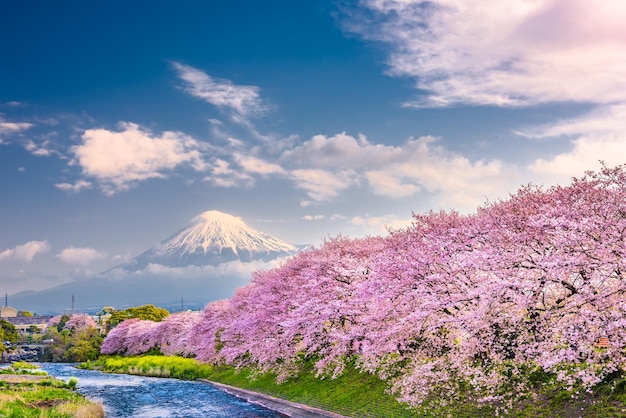 Mt Fuji Giappone paesaggio primaverile