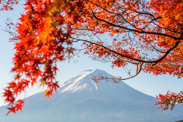 Mt Fuji in autunno con foglie d'acero rosse