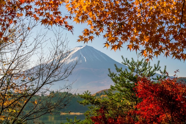 Mt Fuji in autunno con foglie d'acero rosse