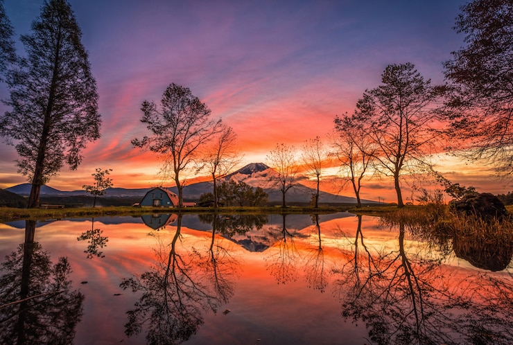 Photo mt. fuji with big trees and lake at sunrise in fujinomiya, japan.