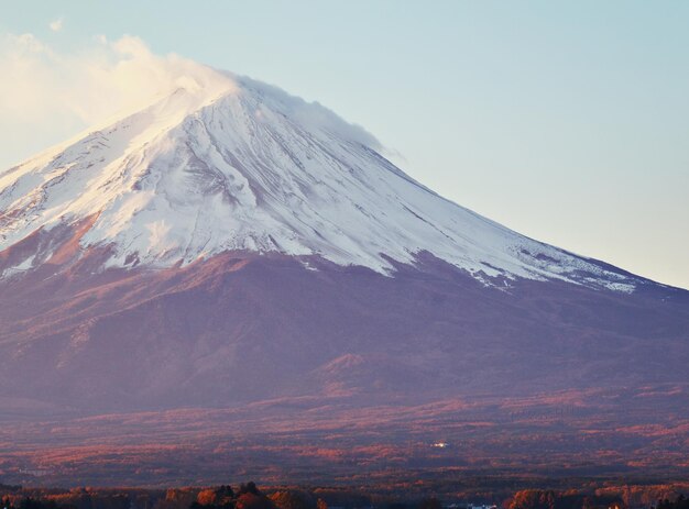 Mt. Fuji