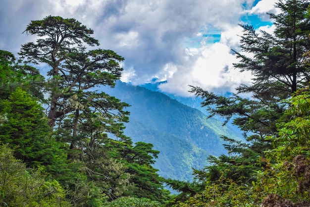 MtJade Mountain Yushan Landscape La montagna più alta dell'isola di Taiwan