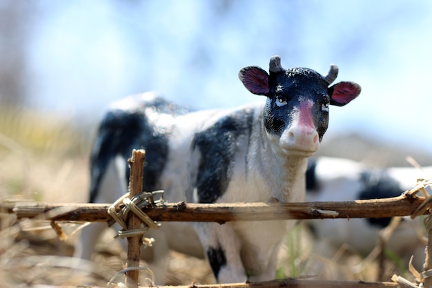 Mucca giocattolo con vitello sulla strada con un recinto di rami