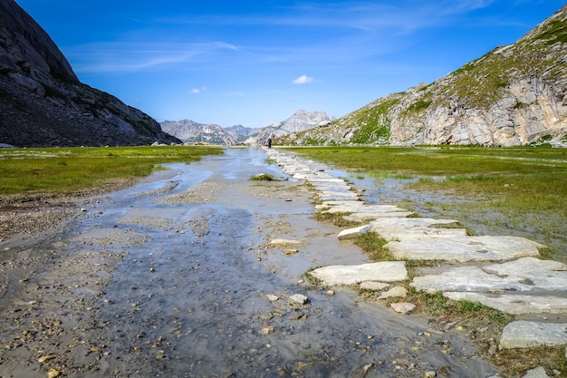 Mucca lago, Lac des Vaches, nel Parco Nazionale della Vanoise, Savoia, Francia