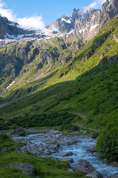 Mucche da un ruscello tra le montagne