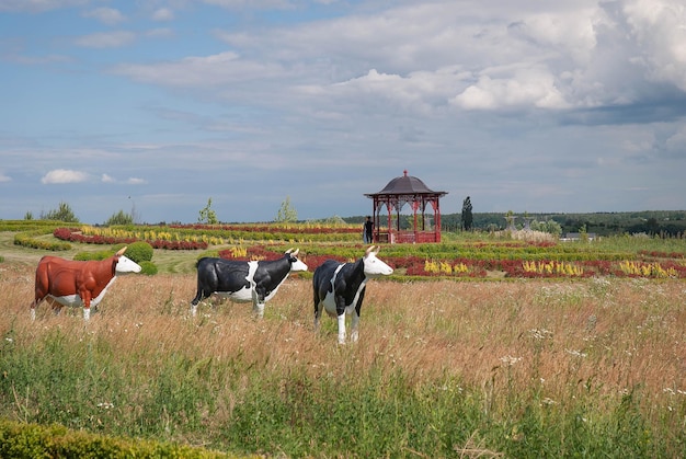 Mucche decorative nel parco in una giornata estiva