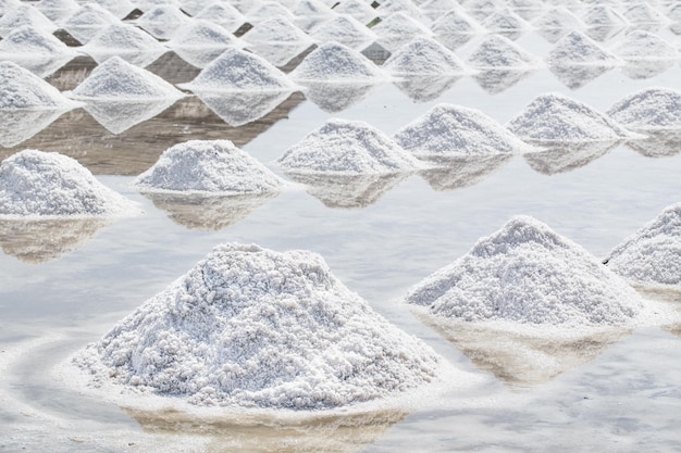 Mucchi di sale nelle saline di Samutsakorn Thailandia