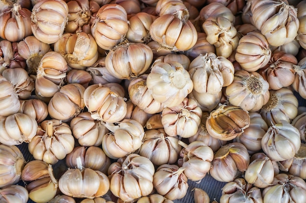 Mucchio di abbondanza di bulbi di aglio aromatizzanti organici a base di erbe fresche