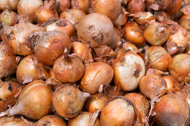 Mucchio di cipolle organiche marroni nella buccia, può essere utilizzato per