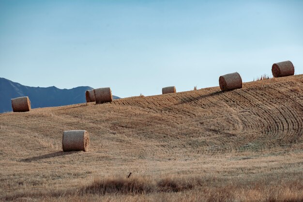 Mucchio di fieno in un campo in estate su uno sfondo di montagne in Nuova Zelanda