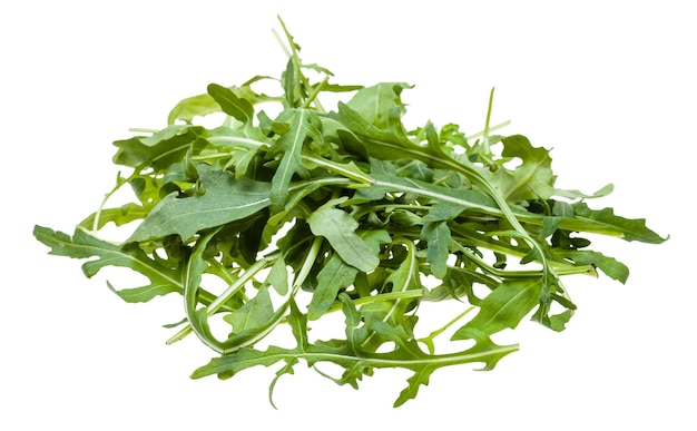 Mucchio di foglie fresche di pianta di rucola isolata