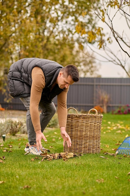 Mucchio di foglie. Il giovane uomo adulto si chinò con le braccia tese su un mucchio di foglie gialle sdraiate sul prato verde vicino al cesto in giardino il giorno d'autunno