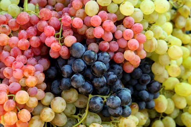 Mucchio di grappoli freschi tricolori da tavola sul mercato