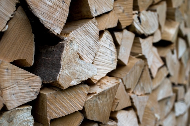 Mucchio di legno che forma una parete. Ecologia e problemi di deforestazione in natura.