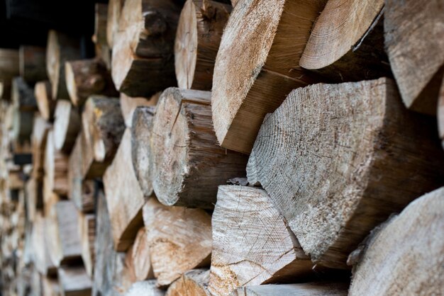 Mucchio di legno che forma una parete. Ecologia e problemi di deforestazione in natura.