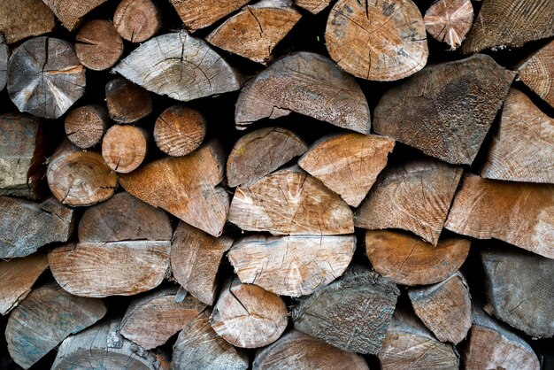 Mucchio di legno che forma una parete. Ecologia e problemi di deforestazione in natura.