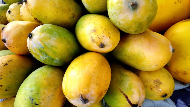 Mucchio di manghi maturi freschi al mercato per vendere