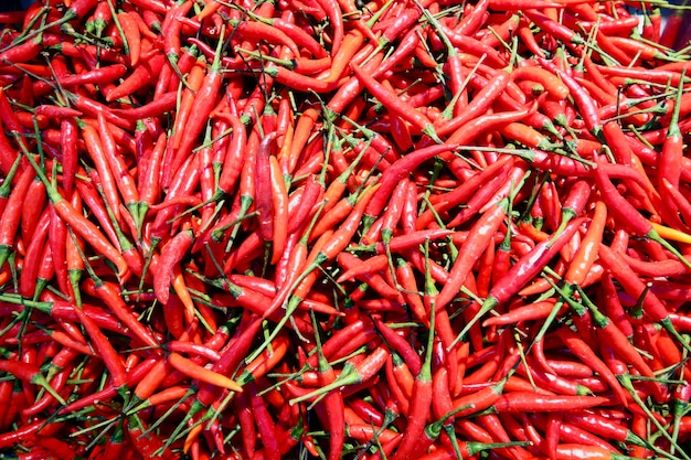 Mucchio di peperoncino rosso fresco