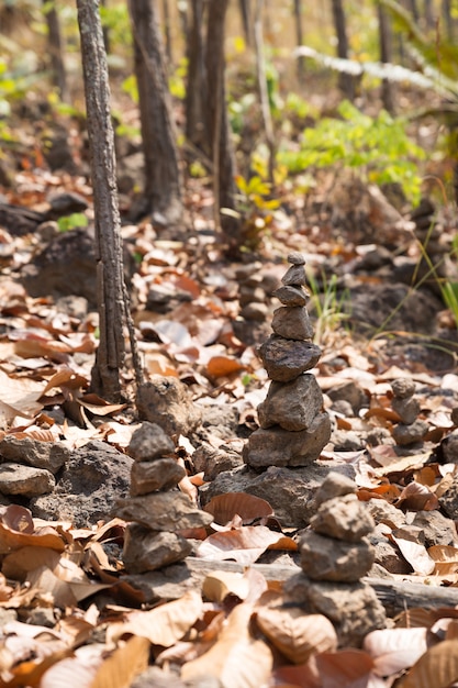 Mucchio di pietra nella foresta