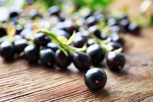 Mucchio di ribes nero sul primo piano della tavola di legno