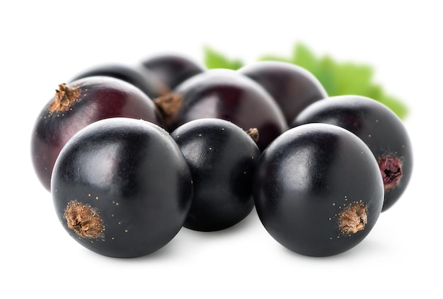 Mucchio di ribes nero