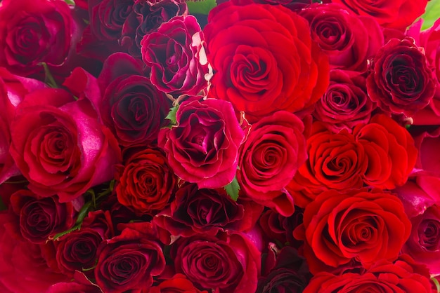 Mucchio di rose rosse