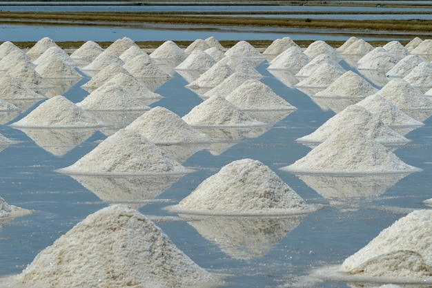 Mucchio di sale bianco sul terreno nel campo di sale