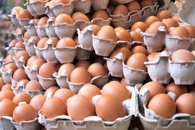 Mucchio di uova di pollo biologico fresco e crudo gallina per la vendita nel mercato del vassoio azienda agricola agricoltura.