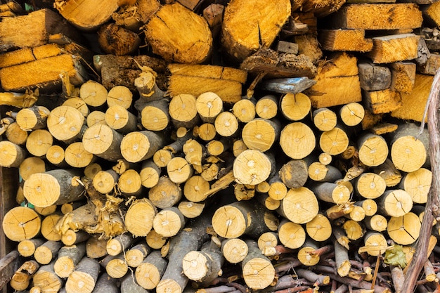 Mucchio di vecchia legna da ardere per priorità bassa. Mucchio di legna da ardere tagliata preparato per l&#39;inverno