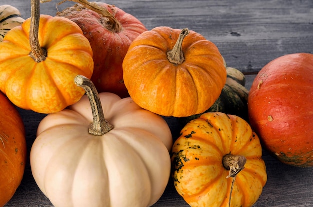 Mucchio di zucca stagionale autunnale colorato su sfondo grigio di legno con spazio per la copia del testo Halloween o ringraziamento