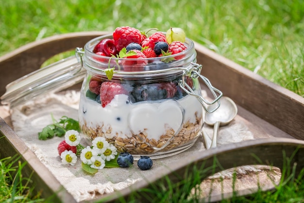 Muesli con yogurt e frutti di bosco in una giornata di sole