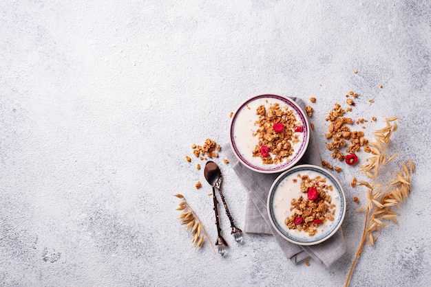 Muesli con yogurt e lamponi secchi