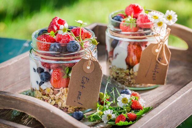 Muesli sani con frutti di bosco e yogurt in giardino