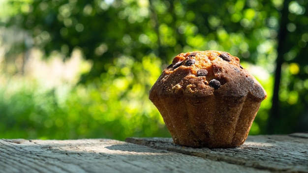 Muffin al cioccolato dolce sulla tavola di legno sul giardino