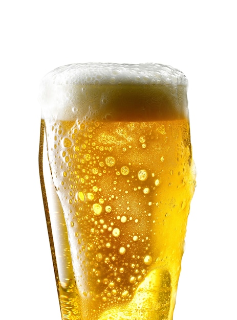 mug of beer on white background