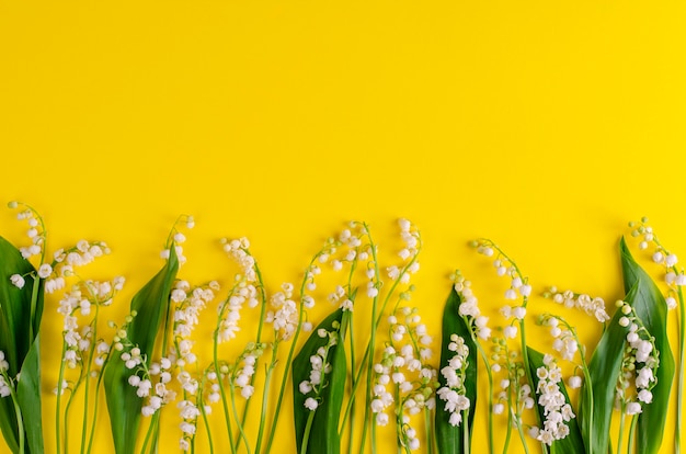 Mughetti gialli. Copia spazio Concetto di fiori di primavera