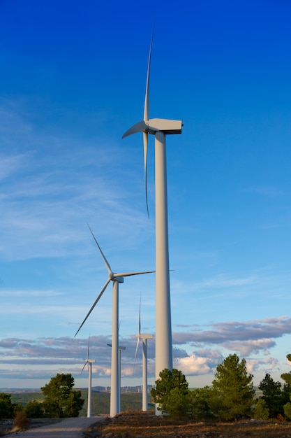 mulini a vento energia elettrica verde in cielo blu di montagna di pino