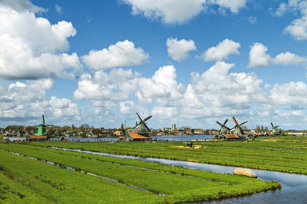 mulini a vento in olanda zaanse schans